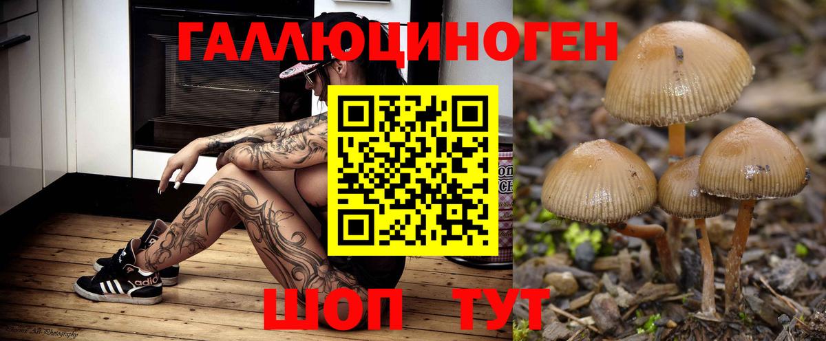 где найти   Вход с VPN  Ярцево  Галлюциногенные грибы ЛСД  Псилоцибиновые грибы Psilocybine cubensis 