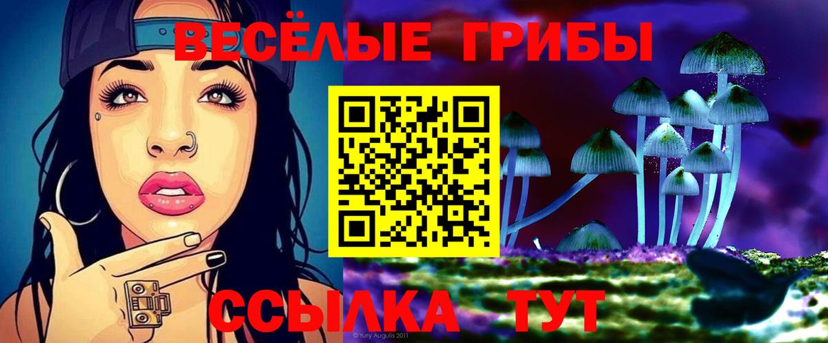 Галлюциногенные грибы Cubensis Ярцево